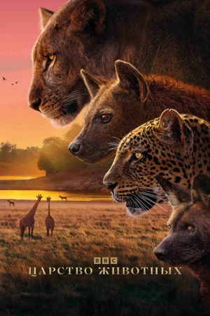 Царство животных