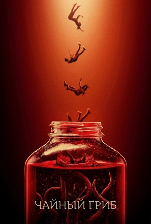 Чайный гриб