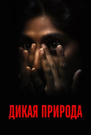 Дикая природа