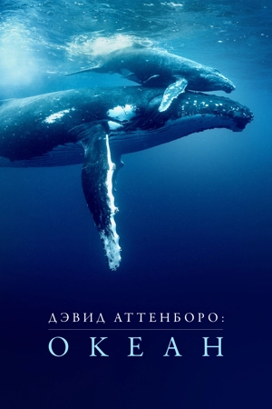 Дэвид Аттенборо: Океан