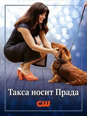 Такса носит Прада / Лапы в городе