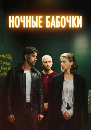 Ночные бабочки / Мотыльки