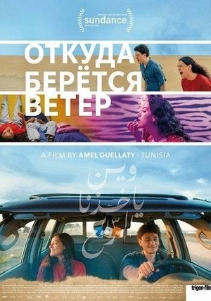 Откуда берётся ветер
