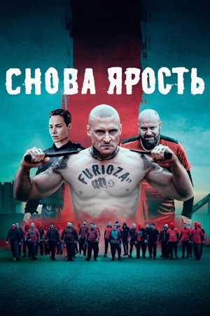 Снова ярость