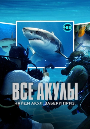 Все акулы