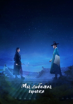 Моя любимая воровка