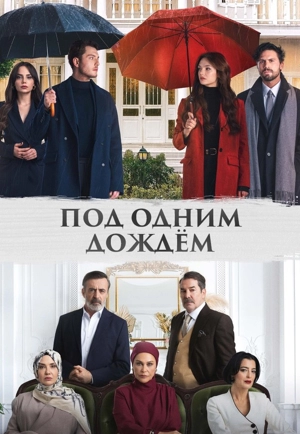 Под одним дождём